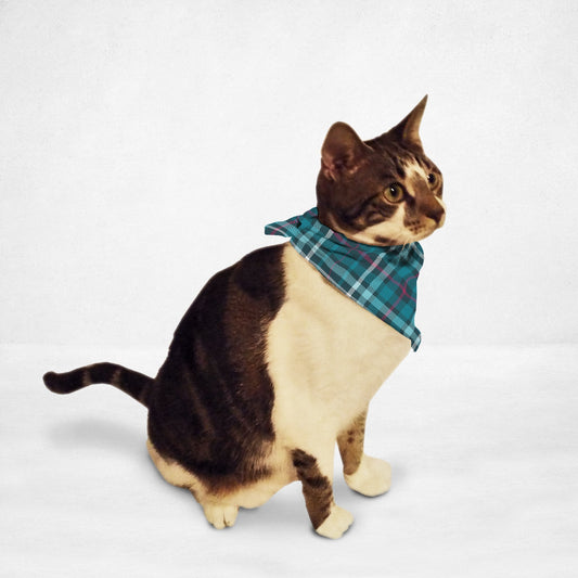 Teal Plaid Pet Bandana